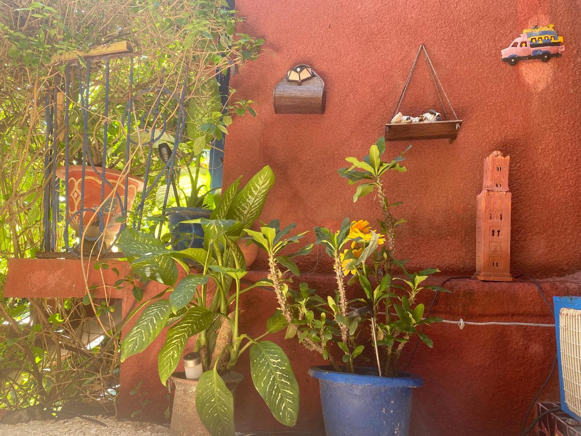Fabuleux Studio Petit Marrakech Dakar Exterior foto